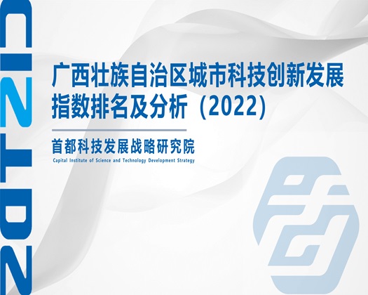 阿呜呜呜慢点鸡吧好大【成果发布】广西壮族自治区城市科技创新发展指数排名及分析（2022）